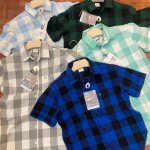 chain craft half sleeve brush checks shirt