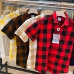 chain craft half sleeve brush checks shirt
