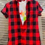 chain craft half sleeve brush checks shirt