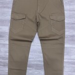 chain craft cargo cotton pant